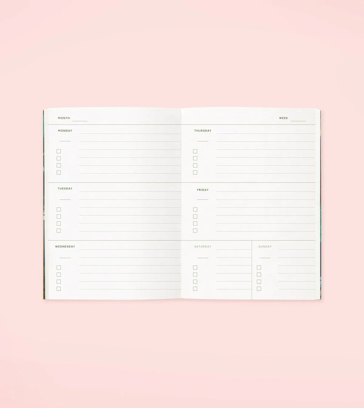 Agenda de poche botanique - Crème