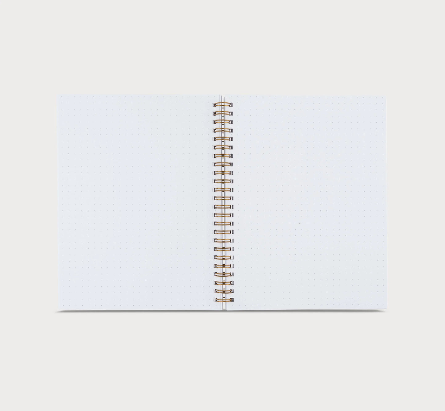 Cahier à points vert sauge (S) - Grille à points