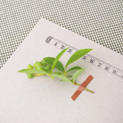 Tampon de la règle de Mizushima