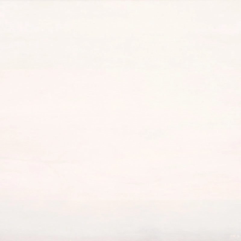 2-Door 2-Shelf Media Stand with Storage, Fits Up to 60" Flat Screen TV