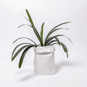 Petit sac blanc à fond plat