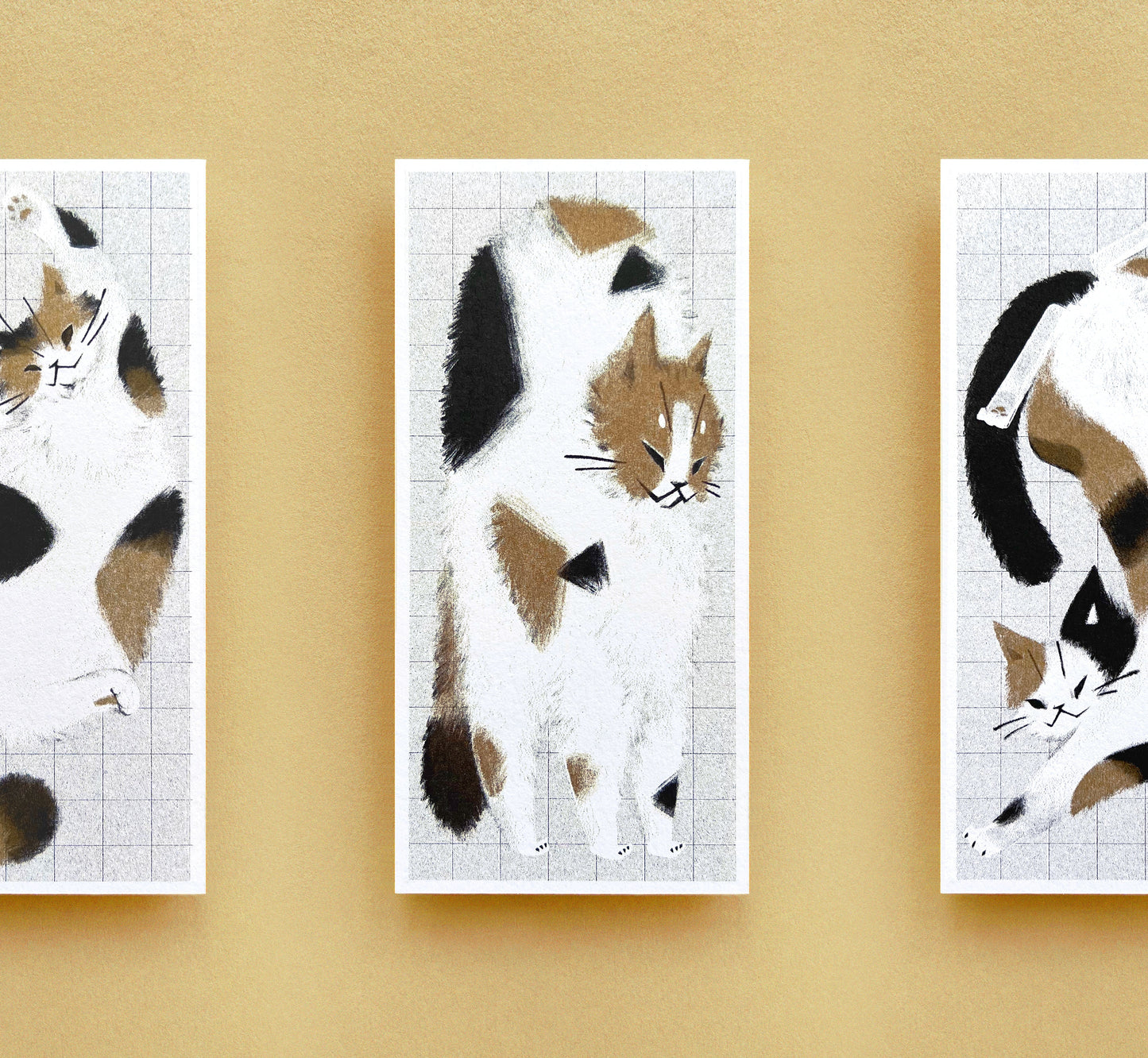 Carte postale de chat