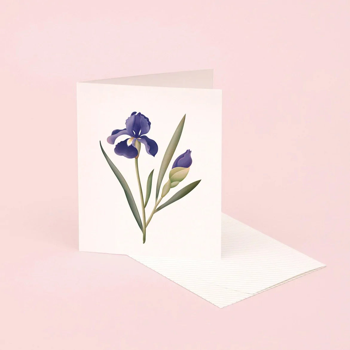 Carte parfumée botanique - Iris 