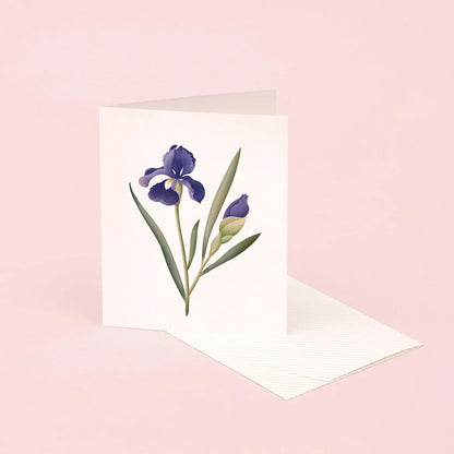 Carte parfumée botanique - Iris 