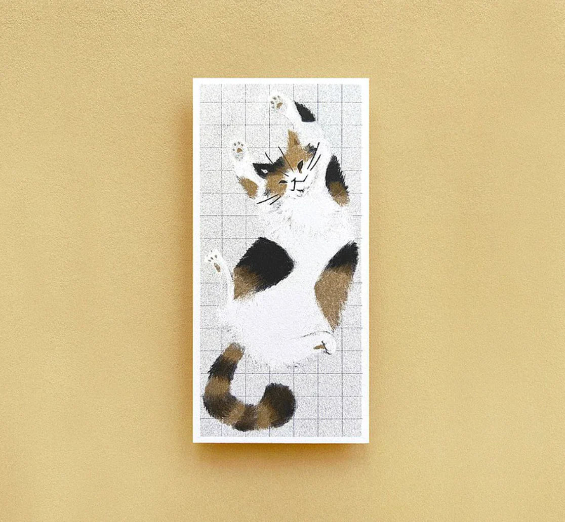 Carte postale de chat