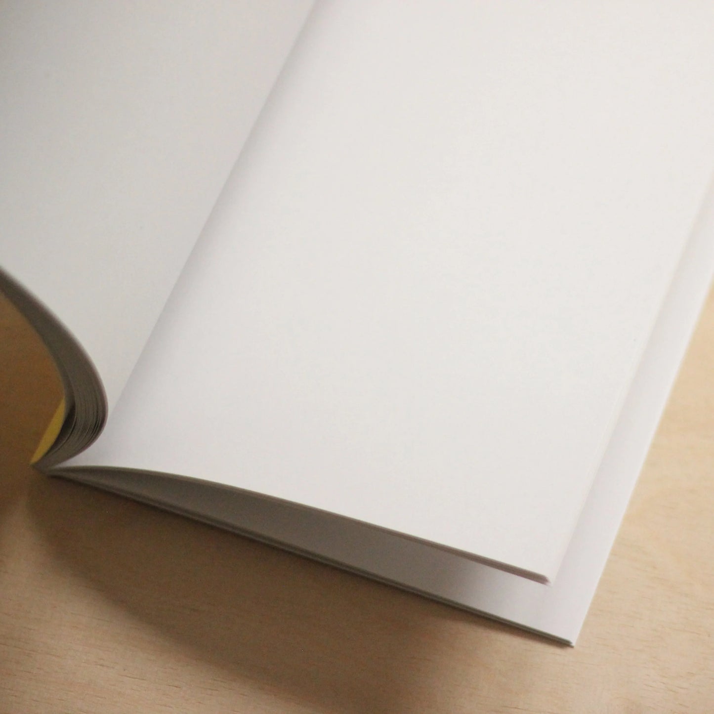 Carnet Navucko à dégradé de smileys bleu/rose - Vierge